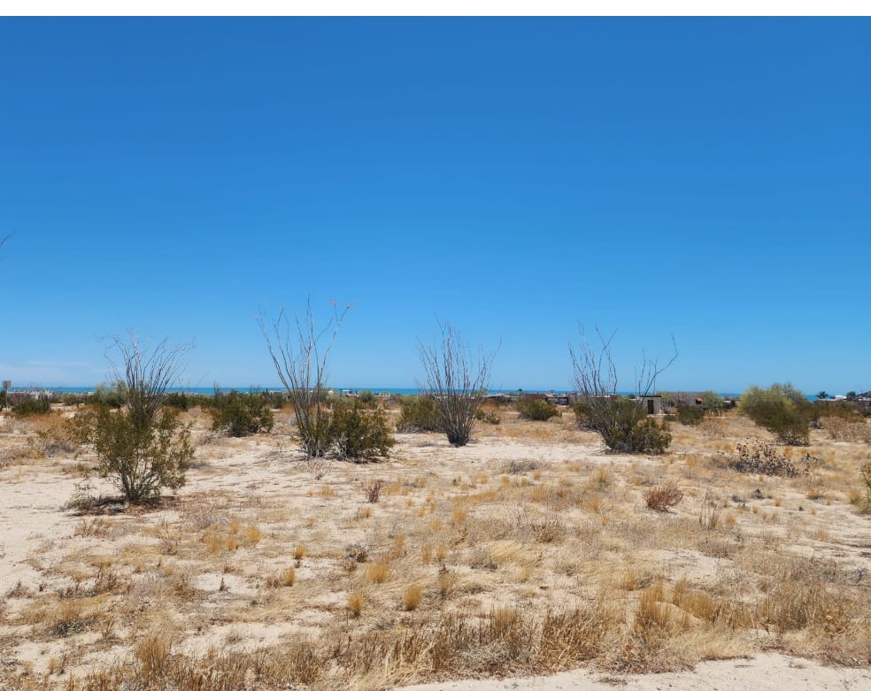 El Dorado land parcel in Mexico